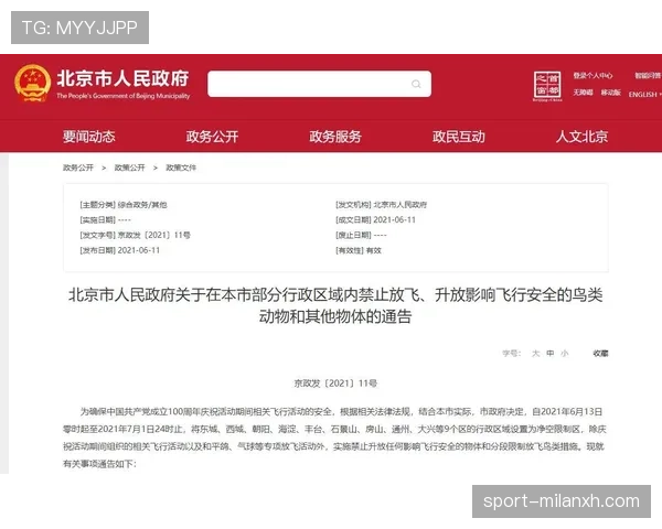 限制区规则解析：什么是限制区及其在比赛中的作用？